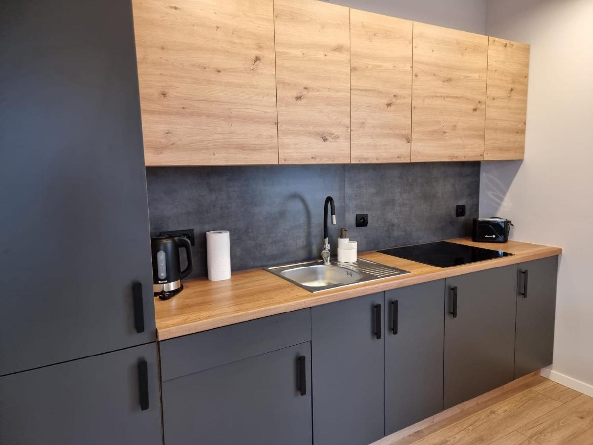Piekny Apartament Przy Parku, Blisko Dworca, Centrum 拉多姆 外观 照片